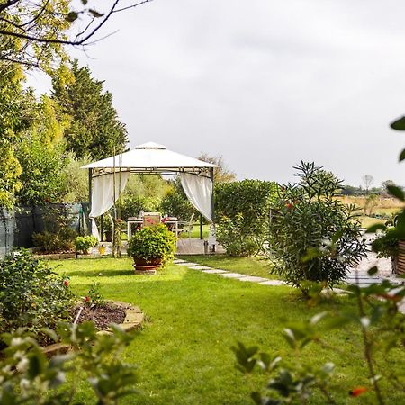 Il Noce Appartamento 2 Misano Adriatico Extérieur photo