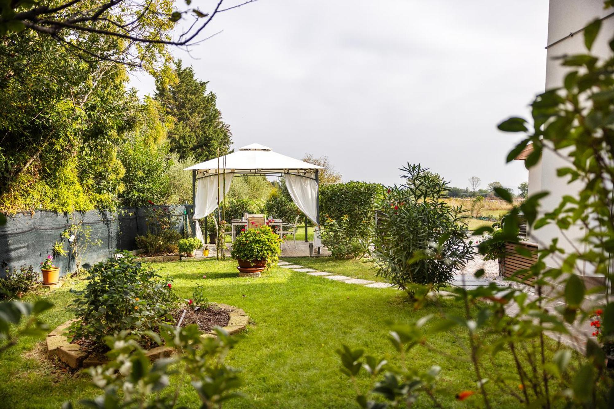 Il Noce Appartamento 2 Misano Adriatico Extérieur photo