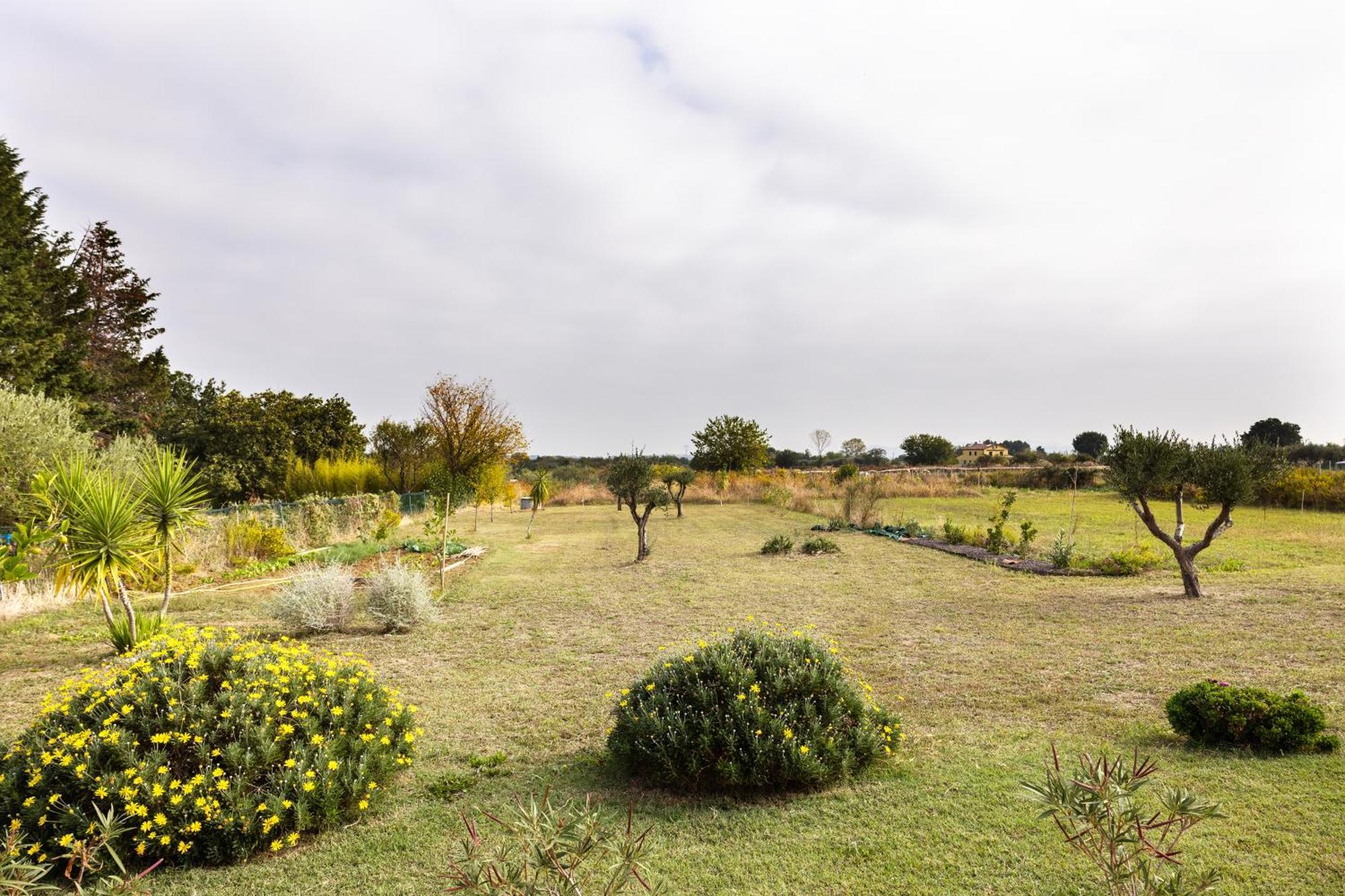 Il Noce Appartamento 2 Misano Adriatico Extérieur photo